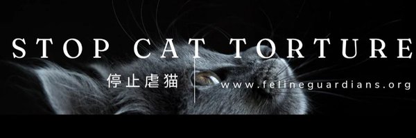 Alejo_23Esp Profile Banner