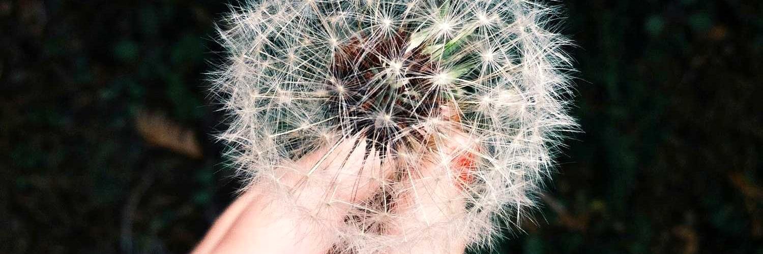 bryanstr39's profile banner image