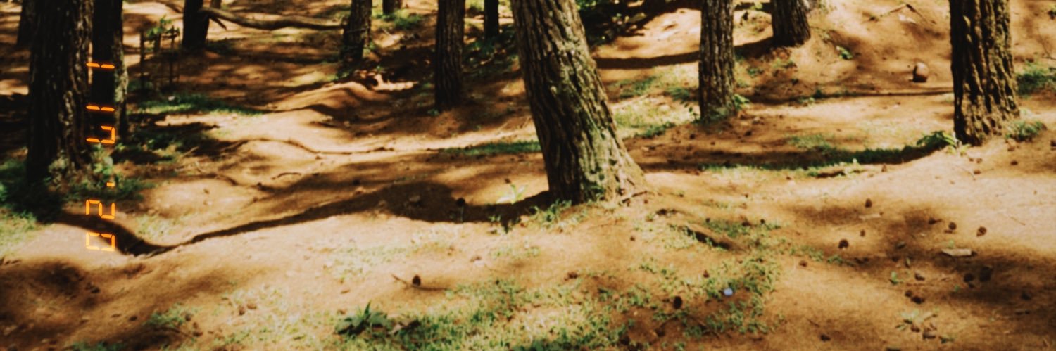 Lhutfybimo's profile banner image