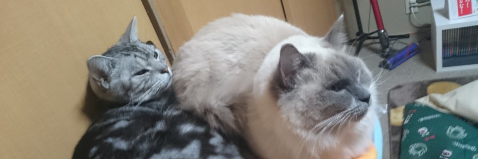 ankdm's profile banner image