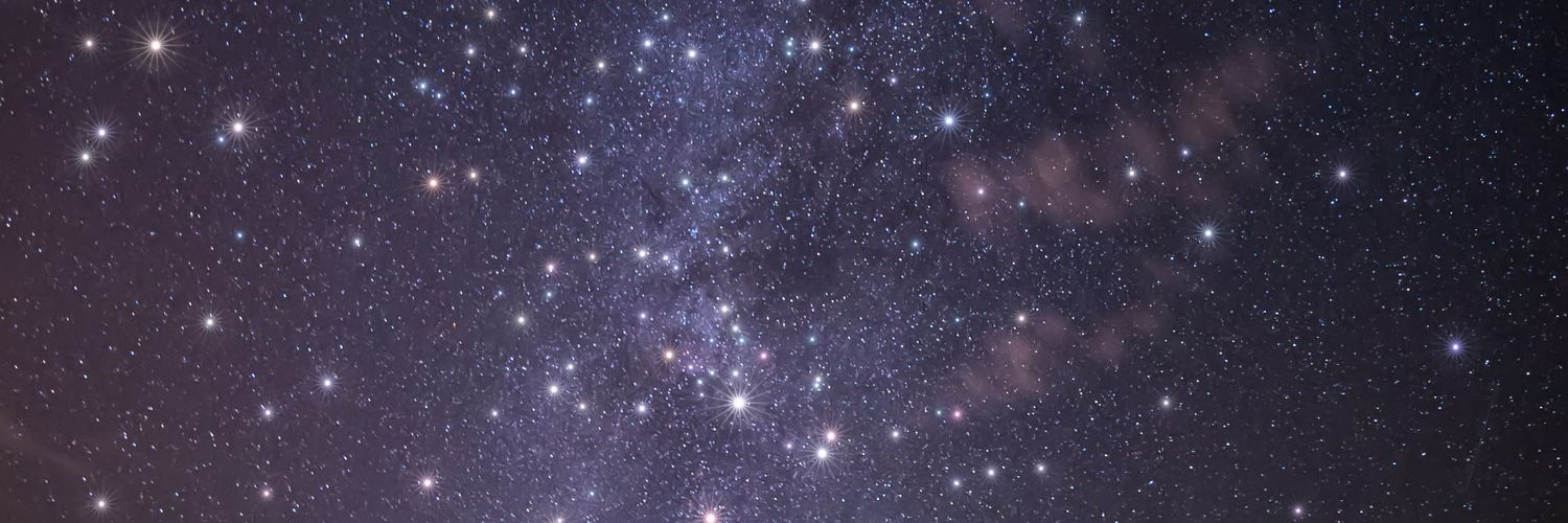 Sarit Weinstein banner