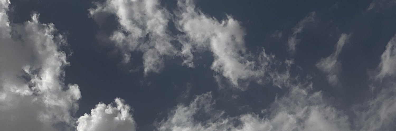 Shosh335's profile banner image