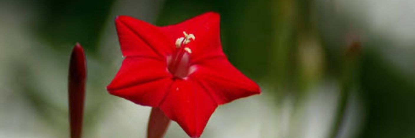 albadari's profile banner image