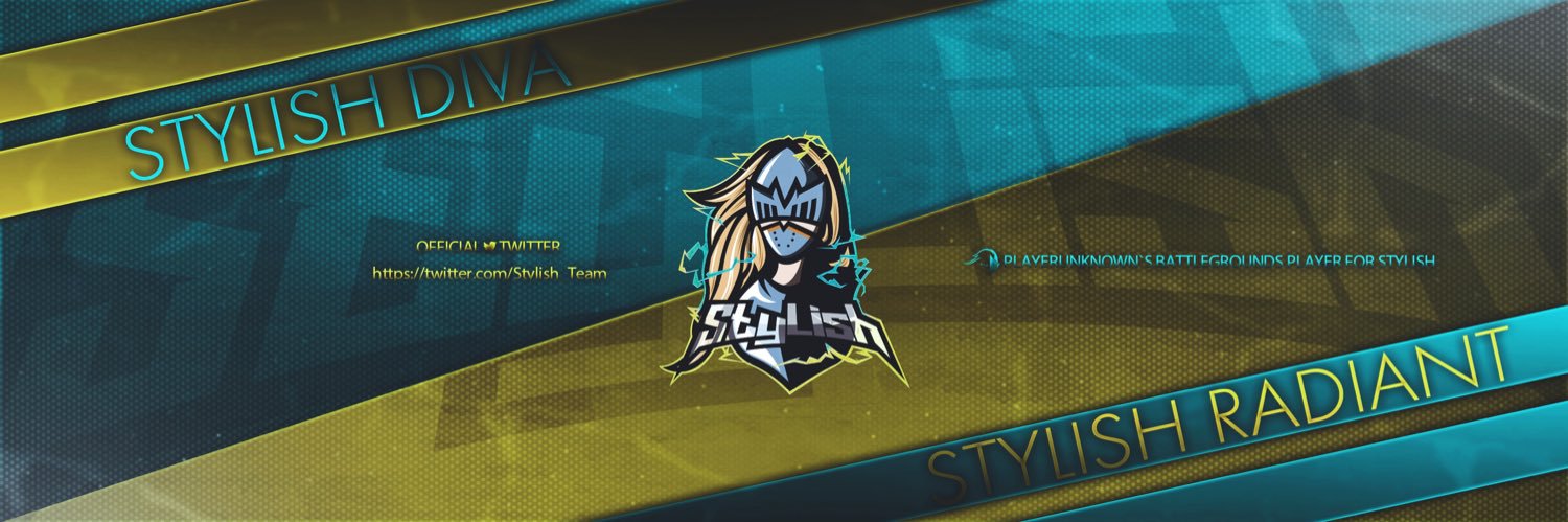 Stylish_pubg's profile banner image