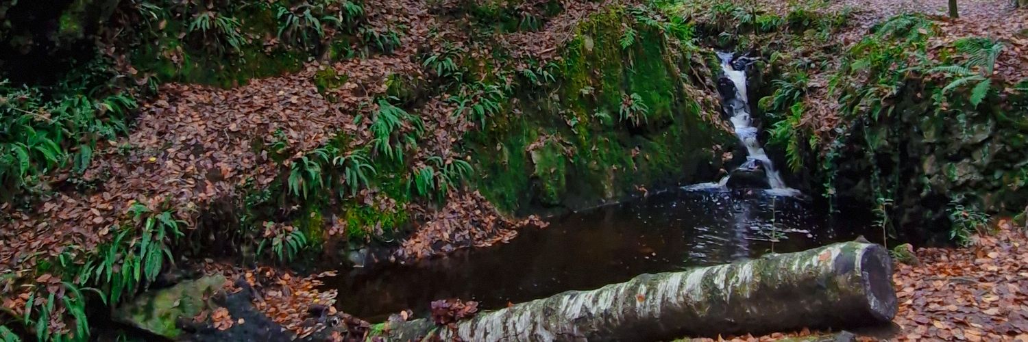 Tonishivers's profile banner image