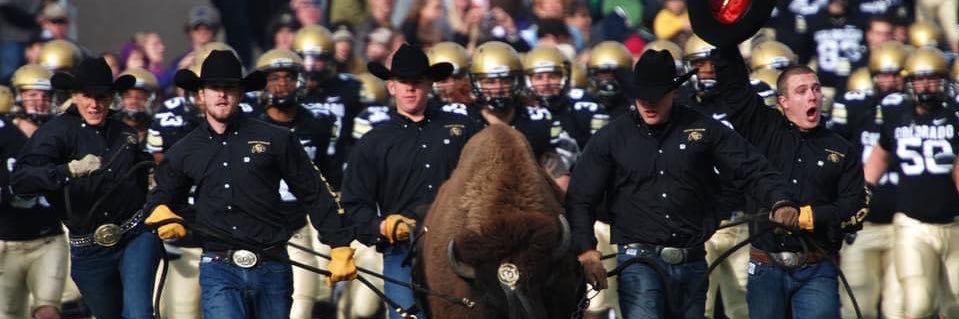 🦬Buffalo Nutbag (sometimes shit) Poster ⭕️ banner