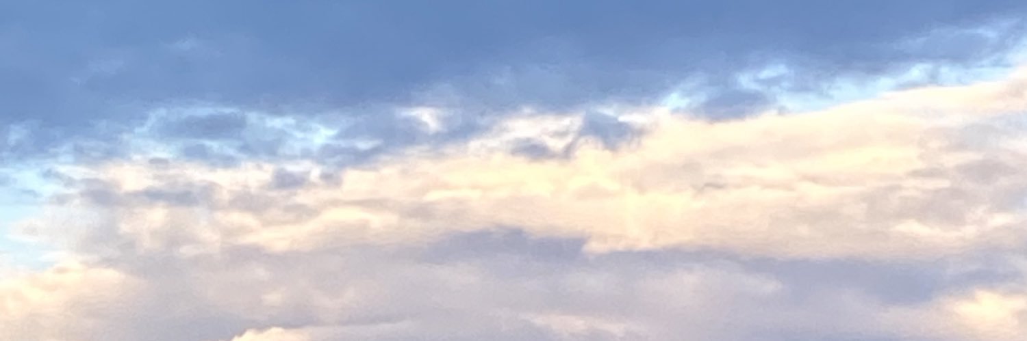 sissybaeloll's profile banner image