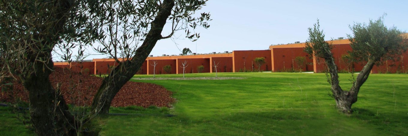 BOM SUCESSO RESORT banner