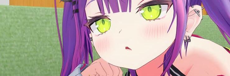 RinReborn's profile banner image
