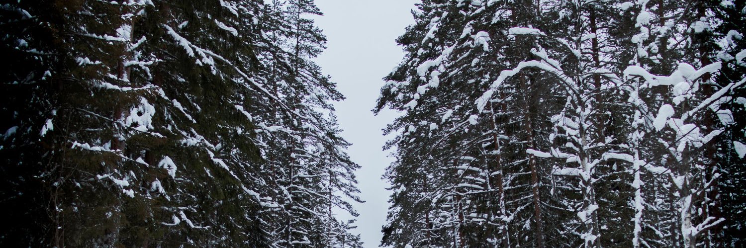 YoitsCos's profile banner image