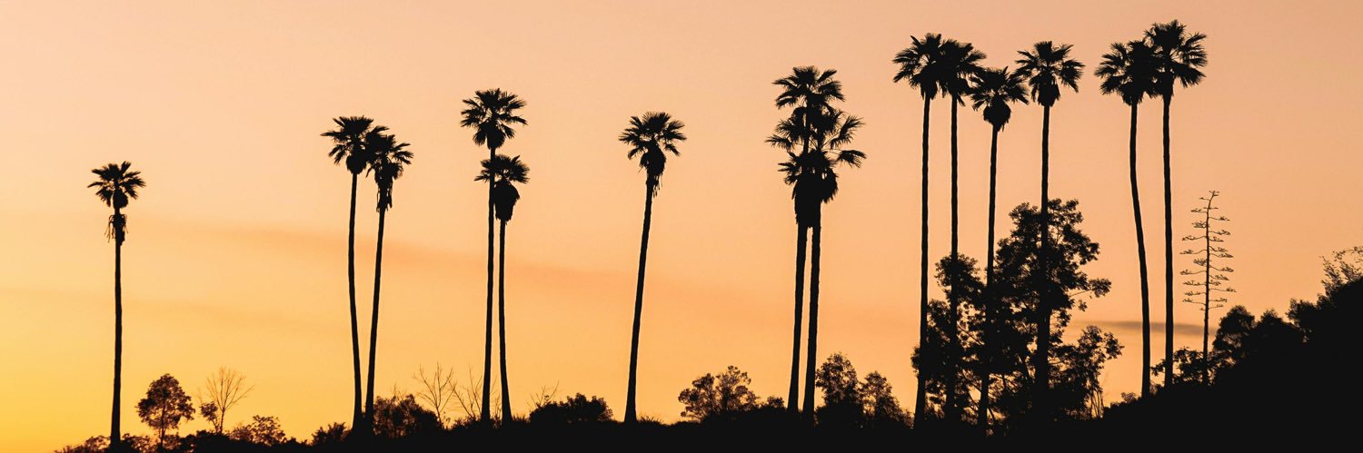 Thomas Pérault banner