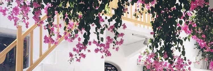 JCatteau's profile banner image