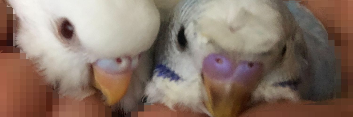 Ash_forsv's profile banner image