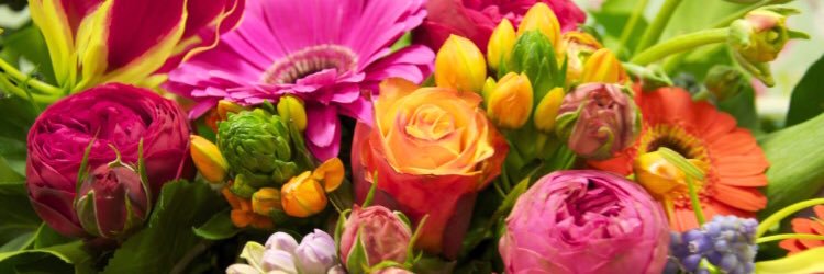 Laura_Otte's profile banner image