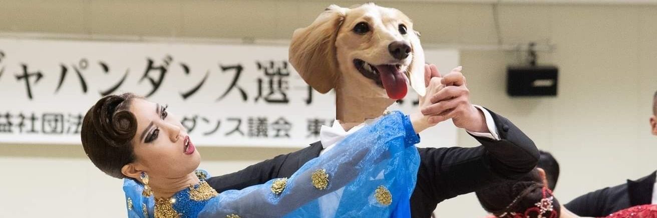 下田藍 @BallroomDance🥖's banner