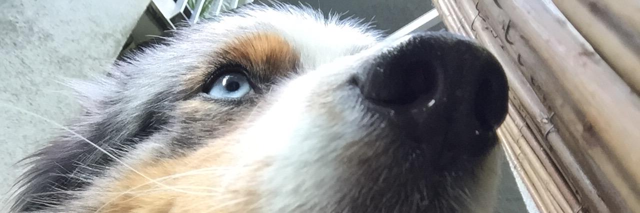 klabauterweib's profile banner image