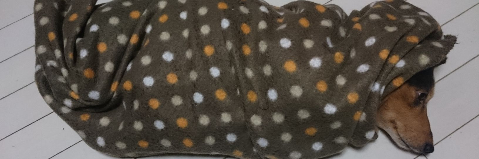 gf_ra2's profile banner image