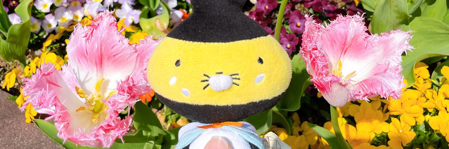 kiiro1925's profile banner image