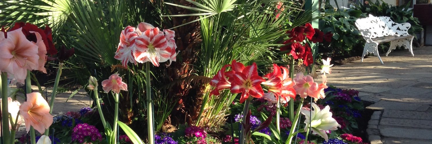 CatherineAReid's profile banner image