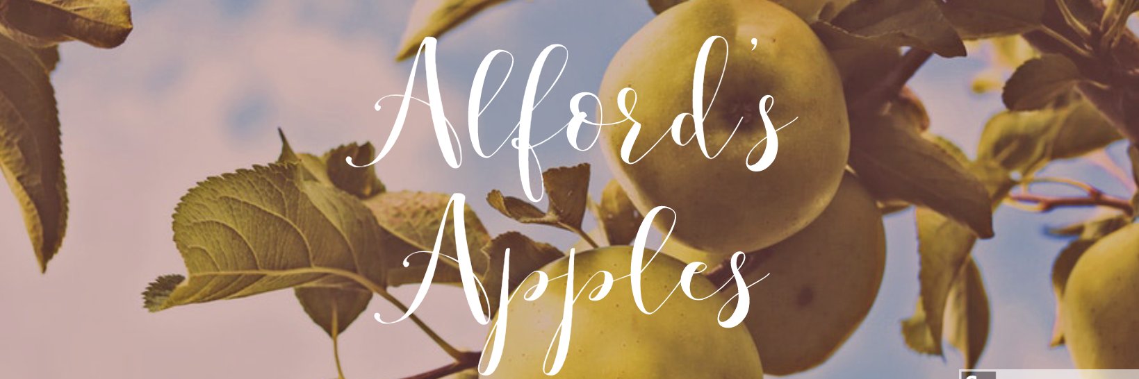 AlfordsApples's profile banner image