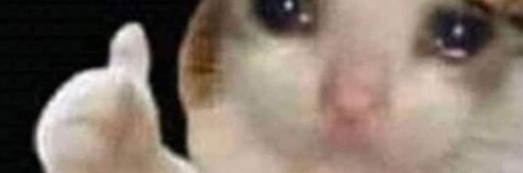 caponsie's profile banner image