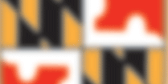 MJ Bishop banner