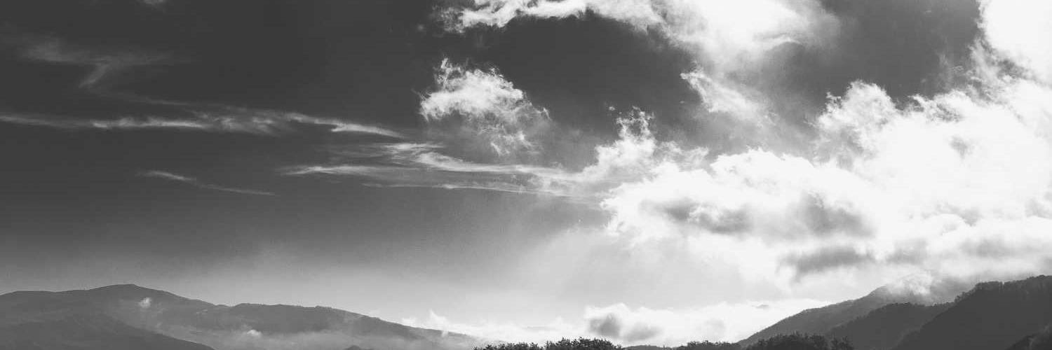 augustofaus's profile banner image