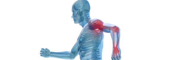 Pietro Mazzariello banner