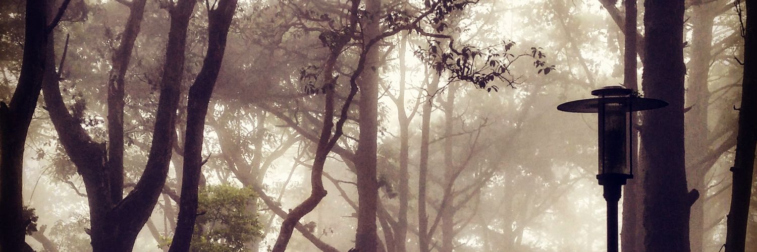geek316's profile banner image