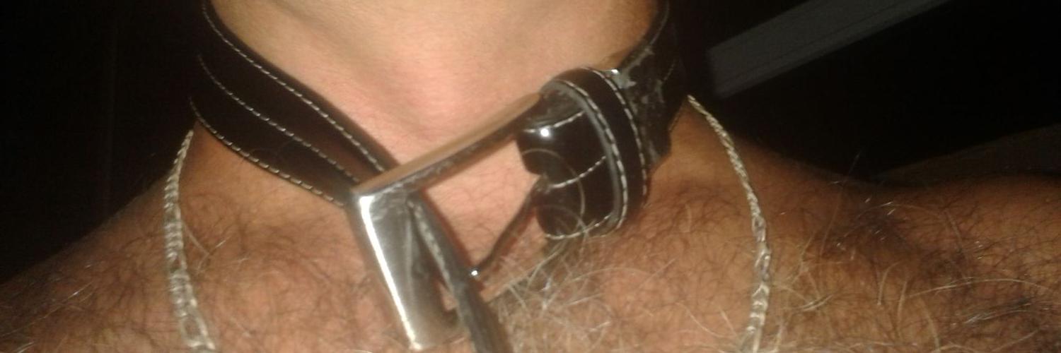 cvitko_marko's profile banner image