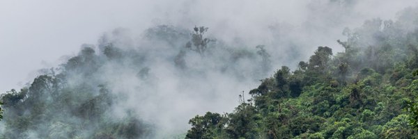 one_chiche Profile Banner