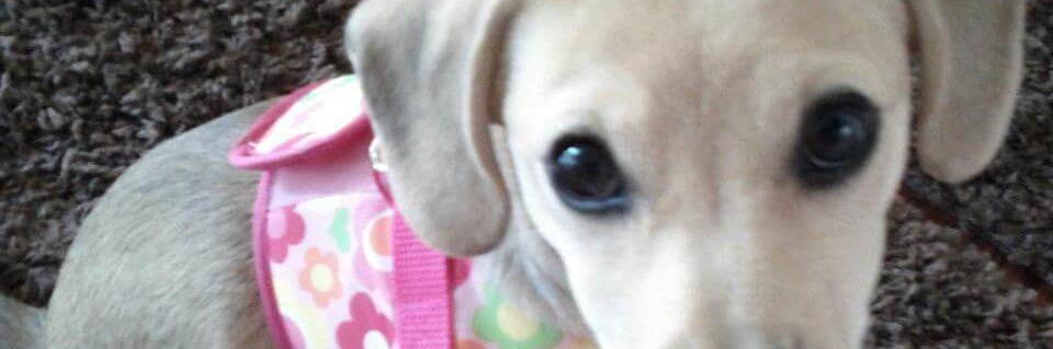 YH🇺🇸🌻👠👠🌪 banner