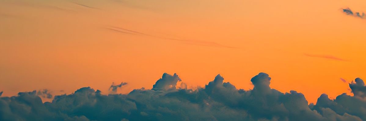 Noé banner