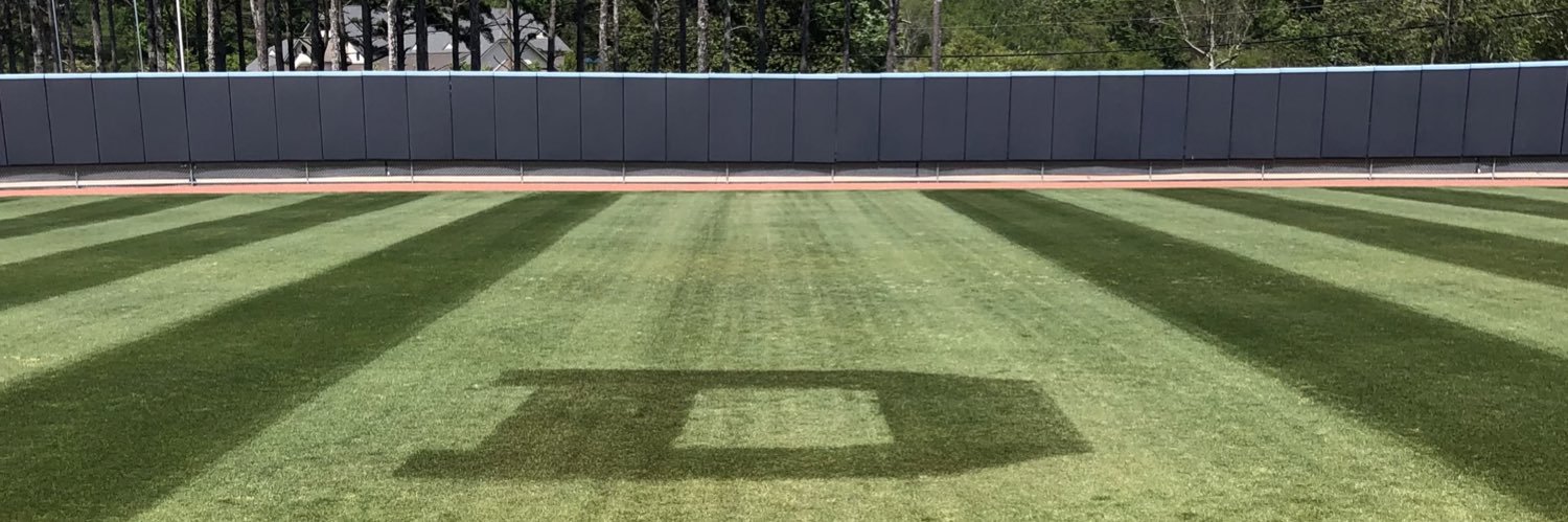 DenmarkDanesDugoutClub banner