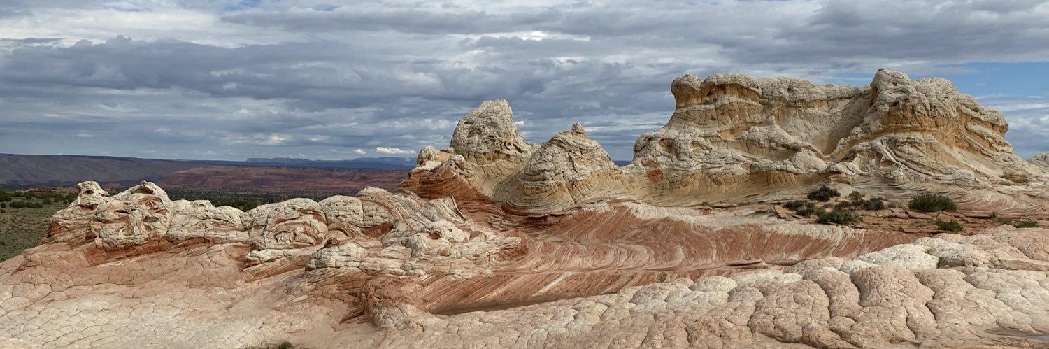 All Voting Is Local - AZ banner