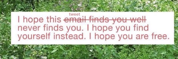 NoahNewfield Profile Banner