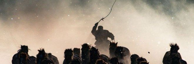 KINGs banner