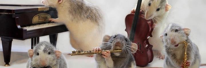 CPUCE's profile banner image