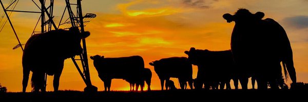 HeadysFarm Profile Banner