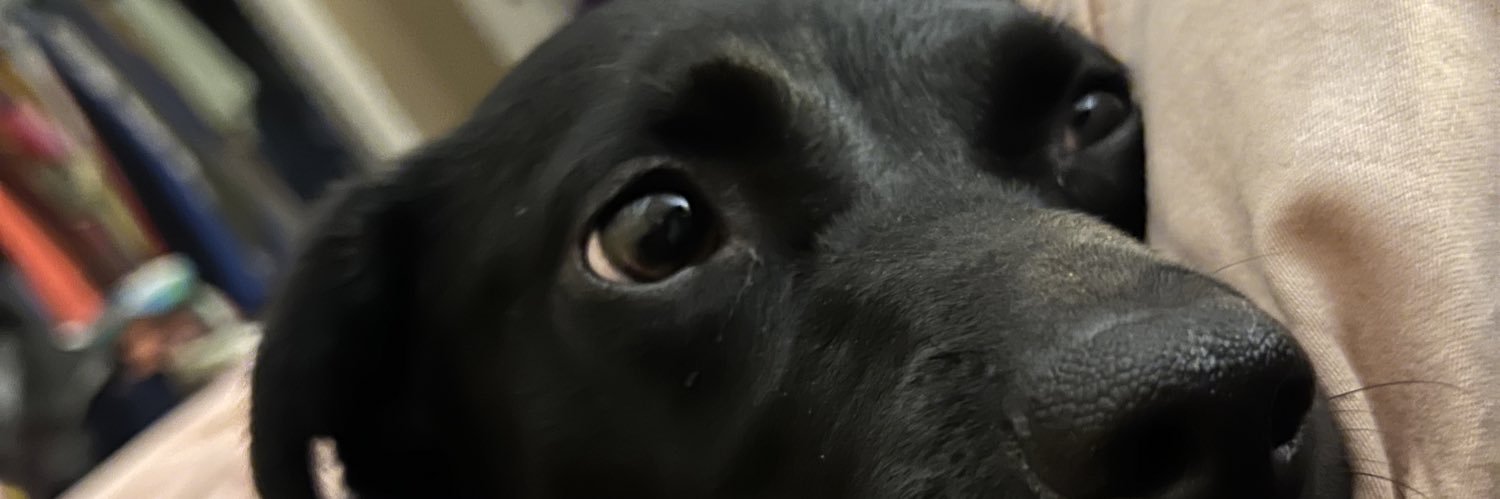 t_evonne's profile banner image