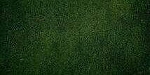 mrprtkl's profile banner image