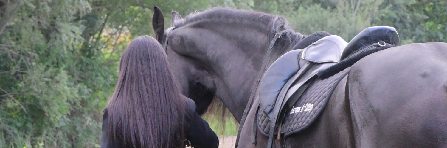 ecemyabanabatt's profile banner image