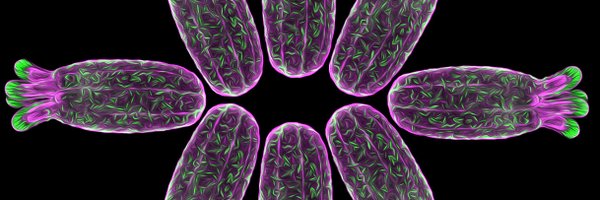 Gibson_Lab Profile Banner