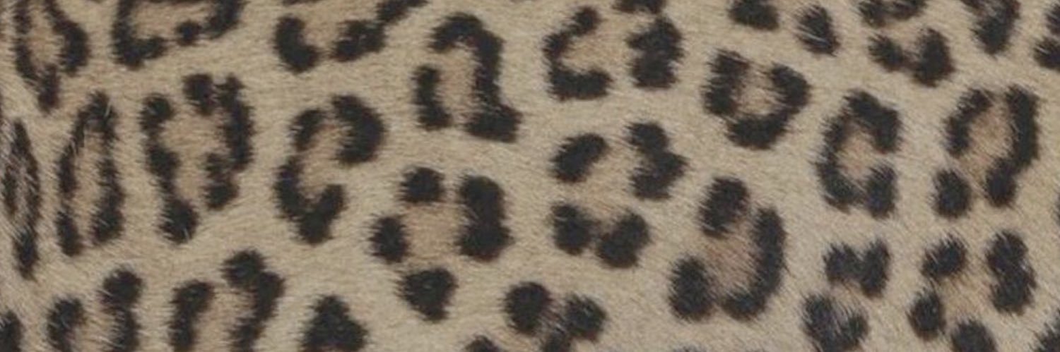 dadisawhore's profile banner image