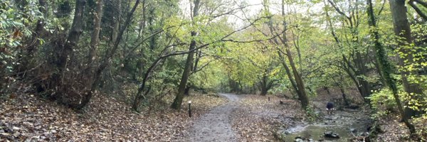 ErinDraper Profile Banner