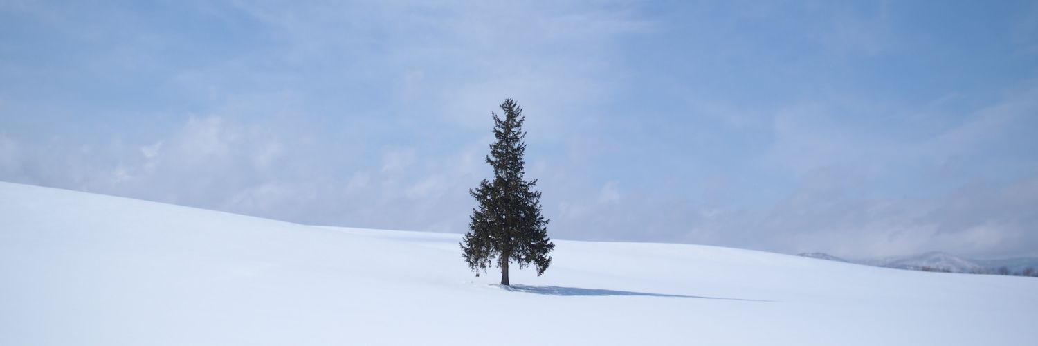 rayure_v's profile banner image