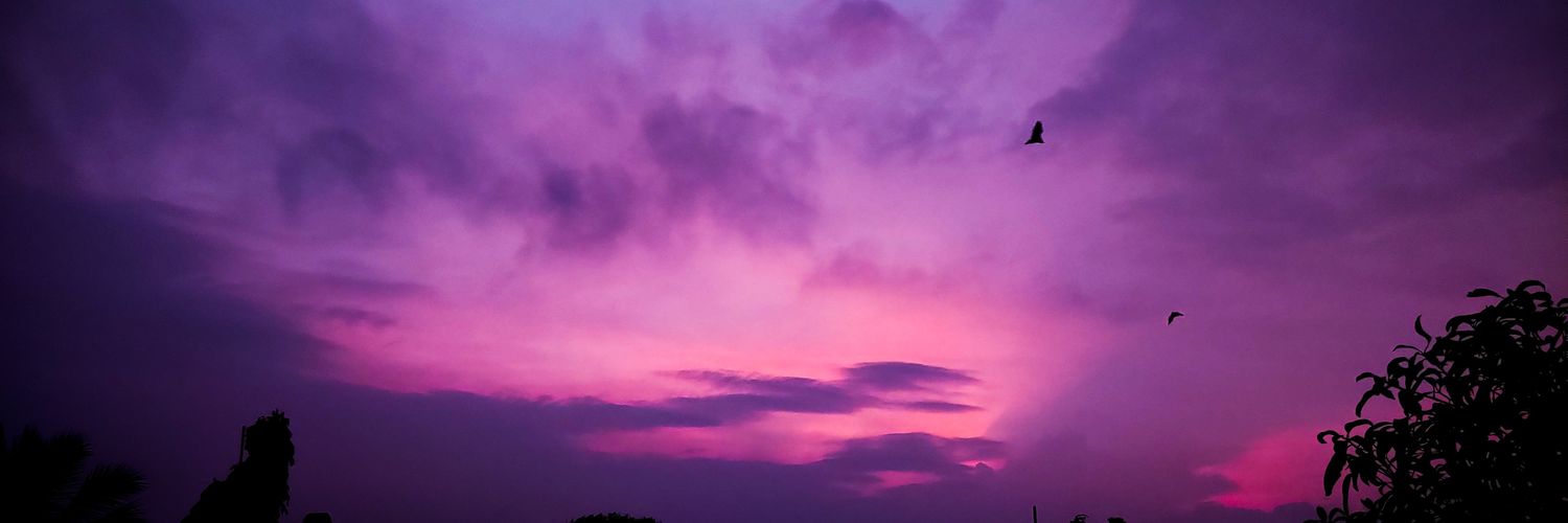 ronak_vasava's profile banner image