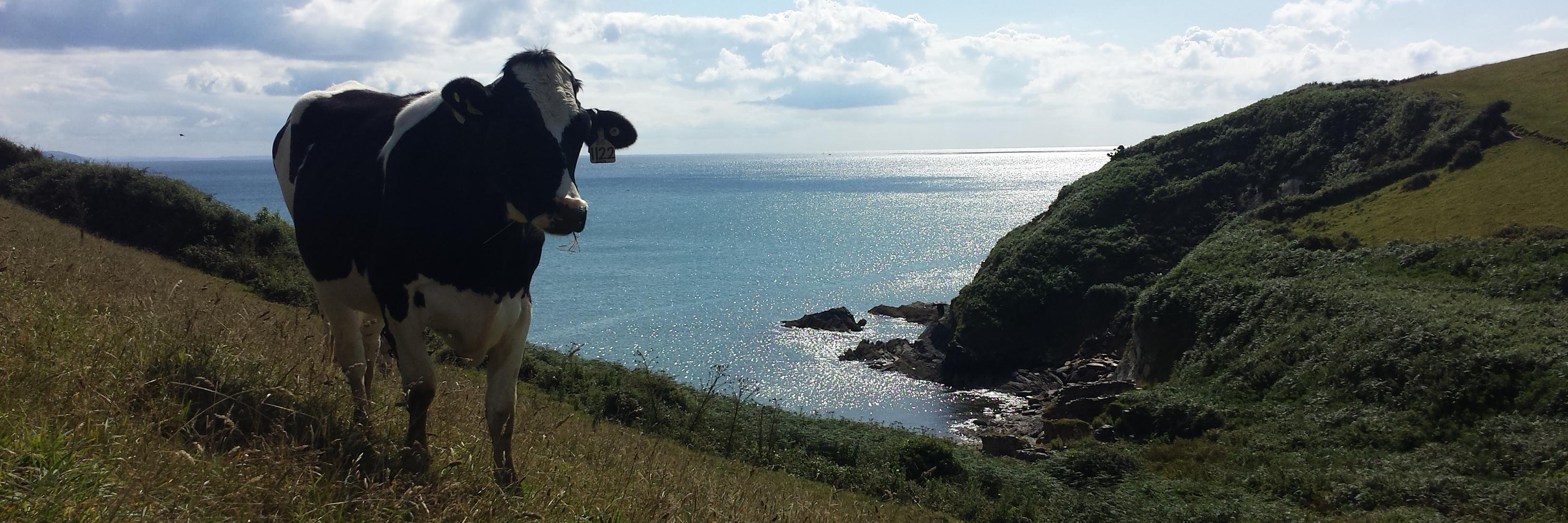 Mike Trebilcock banner