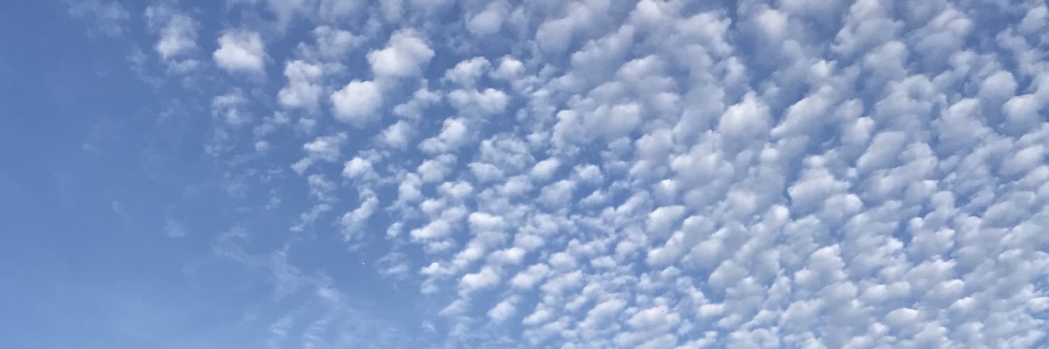 irenemg99's profile banner image