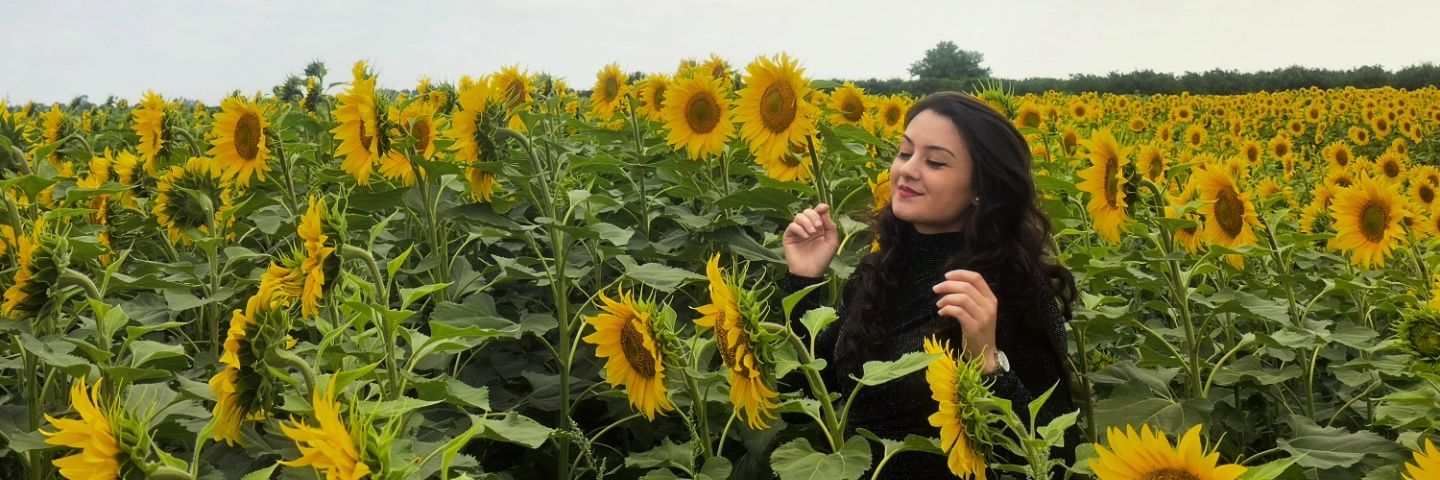 ucevgul's profile banner image
